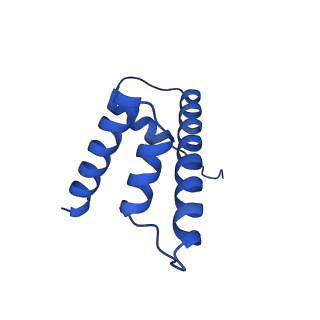 40613_8sn5_D_v1-2
Cryo-EM structure of the human nucleosome core particle in complex with RNF168 and UbcH5c~Ub (UbcH5c chemically conjugated to histone H2A) (class 3)