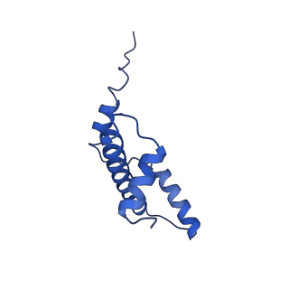 40613_8sn5_E_v1-1
Cryo-EM structure of the human nucleosome core particle in complex with RNF168 and UbcH5c~Ub (UbcH5c chemically conjugated to histone H2A) (class 3)