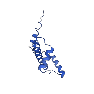 40613_8sn5_E_v1-2
Cryo-EM structure of the human nucleosome core particle in complex with RNF168 and UbcH5c~Ub (UbcH5c chemically conjugated to histone H2A) (class 3)