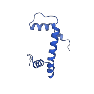 40613_8sn5_F_v1-2
Cryo-EM structure of the human nucleosome core particle in complex with RNF168 and UbcH5c~Ub (UbcH5c chemically conjugated to histone H2A) (class 3)