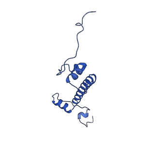 40613_8sn5_G_v1-2
Cryo-EM structure of the human nucleosome core particle in complex with RNF168 and UbcH5c~Ub (UbcH5c chemically conjugated to histone H2A) (class 3)