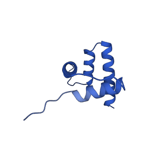 40613_8sn5_H_v1-2
Cryo-EM structure of the human nucleosome core particle in complex with RNF168 and UbcH5c~Ub (UbcH5c chemically conjugated to histone H2A) (class 3)