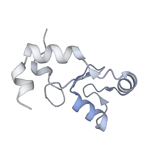 40613_8sn5_K_v1-2
Cryo-EM structure of the human nucleosome core particle in complex with RNF168 and UbcH5c~Ub (UbcH5c chemically conjugated to histone H2A) (class 3)