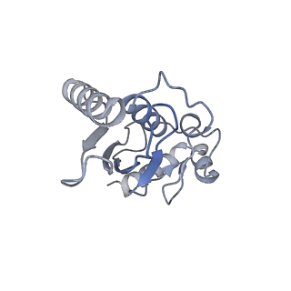 40613_8sn5_L_v1-1
Cryo-EM structure of the human nucleosome core particle in complex with RNF168 and UbcH5c~Ub (UbcH5c chemically conjugated to histone H2A) (class 3)
