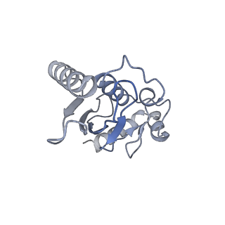 40613_8sn5_L_v1-2
Cryo-EM structure of the human nucleosome core particle in complex with RNF168 and UbcH5c~Ub (UbcH5c chemically conjugated to histone H2A) (class 3)