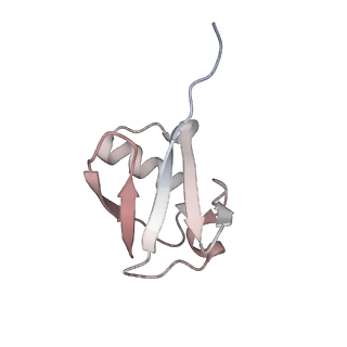 40613_8sn5_M_v1-2
Cryo-EM structure of the human nucleosome core particle in complex with RNF168 and UbcH5c~Ub (UbcH5c chemically conjugated to histone H2A) (class 3)