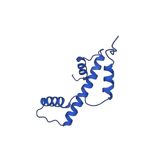 40614_8sn6_A_v1-1
Cryo-EM structure of the human nucleosome core particle in complex with RNF168 and UbcH5c~Ub (UbcH5c chemically conjugated to histone H2A) (class 4)