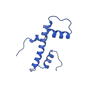 40614_8sn6_B_v1-1
Cryo-EM structure of the human nucleosome core particle in complex with RNF168 and UbcH5c~Ub (UbcH5c chemically conjugated to histone H2A) (class 4)