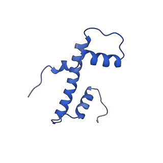 40614_8sn6_B_v1-2
Cryo-EM structure of the human nucleosome core particle in complex with RNF168 and UbcH5c~Ub (UbcH5c chemically conjugated to histone H2A) (class 4)