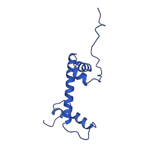 40614_8sn6_C_v1-1
Cryo-EM structure of the human nucleosome core particle in complex with RNF168 and UbcH5c~Ub (UbcH5c chemically conjugated to histone H2A) (class 4)