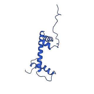 40614_8sn6_C_v1-2
Cryo-EM structure of the human nucleosome core particle in complex with RNF168 and UbcH5c~Ub (UbcH5c chemically conjugated to histone H2A) (class 4)