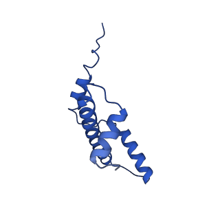 40614_8sn6_E_v1-1
Cryo-EM structure of the human nucleosome core particle in complex with RNF168 and UbcH5c~Ub (UbcH5c chemically conjugated to histone H2A) (class 4)