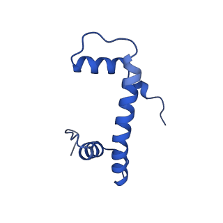 40614_8sn6_F_v1-2
Cryo-EM structure of the human nucleosome core particle in complex with RNF168 and UbcH5c~Ub (UbcH5c chemically conjugated to histone H2A) (class 4)