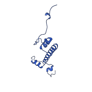 40614_8sn6_G_v1-2
Cryo-EM structure of the human nucleosome core particle in complex with RNF168 and UbcH5c~Ub (UbcH5c chemically conjugated to histone H2A) (class 4)