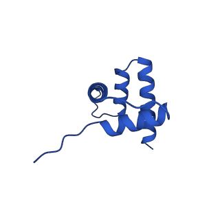 40614_8sn6_H_v1-2
Cryo-EM structure of the human nucleosome core particle in complex with RNF168 and UbcH5c~Ub (UbcH5c chemically conjugated to histone H2A) (class 4)