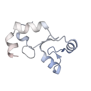 40614_8sn6_K_v1-2
Cryo-EM structure of the human nucleosome core particle in complex with RNF168 and UbcH5c~Ub (UbcH5c chemically conjugated to histone H2A) (class 4)