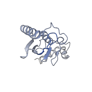 40614_8sn6_L_v1-2
Cryo-EM structure of the human nucleosome core particle in complex with RNF168 and UbcH5c~Ub (UbcH5c chemically conjugated to histone H2A) (class 4)