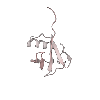 40614_8sn6_M_v1-2
Cryo-EM structure of the human nucleosome core particle in complex with RNF168 and UbcH5c~Ub (UbcH5c chemically conjugated to histone H2A) (class 4)