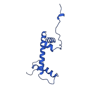 40615_8sn7_C_v1-1
Cryo-EM structure of the human nucleosome core particle in complex with RNF168 and UbcH5c~Ub (UbcH5c chemically conjugated to histone H2A) (class 5)