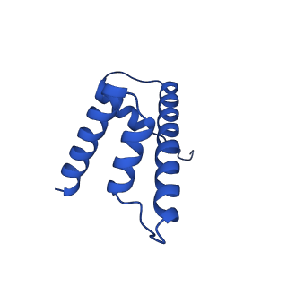 40615_8sn7_D_v1-2
Cryo-EM structure of the human nucleosome core particle in complex with RNF168 and UbcH5c~Ub (UbcH5c chemically conjugated to histone H2A) (class 5)