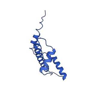 40615_8sn7_E_v1-1
Cryo-EM structure of the human nucleosome core particle in complex with RNF168 and UbcH5c~Ub (UbcH5c chemically conjugated to histone H2A) (class 5)