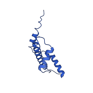 40615_8sn7_E_v1-2
Cryo-EM structure of the human nucleosome core particle in complex with RNF168 and UbcH5c~Ub (UbcH5c chemically conjugated to histone H2A) (class 5)