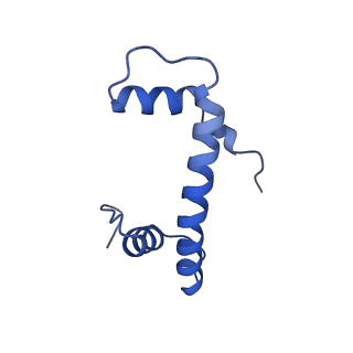 40615_8sn7_F_v1-2
Cryo-EM structure of the human nucleosome core particle in complex with RNF168 and UbcH5c~Ub (UbcH5c chemically conjugated to histone H2A) (class 5)