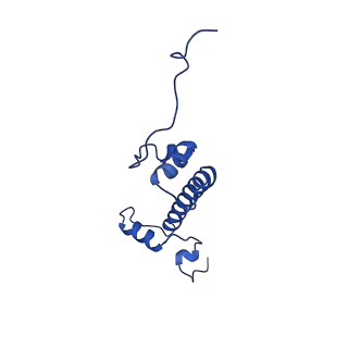 40615_8sn7_G_v1-2
Cryo-EM structure of the human nucleosome core particle in complex with RNF168 and UbcH5c~Ub (UbcH5c chemically conjugated to histone H2A) (class 5)