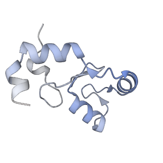 40615_8sn7_K_v1-2
Cryo-EM structure of the human nucleosome core particle in complex with RNF168 and UbcH5c~Ub (UbcH5c chemically conjugated to histone H2A) (class 5)