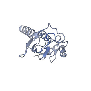 40615_8sn7_L_v1-1
Cryo-EM structure of the human nucleosome core particle in complex with RNF168 and UbcH5c~Ub (UbcH5c chemically conjugated to histone H2A) (class 5)