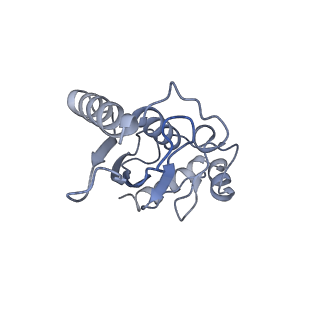 40615_8sn7_L_v1-2
Cryo-EM structure of the human nucleosome core particle in complex with RNF168 and UbcH5c~Ub (UbcH5c chemically conjugated to histone H2A) (class 5)