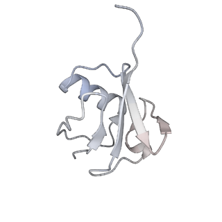 40615_8sn7_M_v1-2
Cryo-EM structure of the human nucleosome core particle in complex with RNF168 and UbcH5c~Ub (UbcH5c chemically conjugated to histone H2A) (class 5)