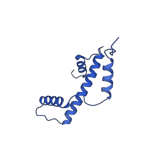 40616_8sn8_A_v1-2
Cryo-EM structure of the human nucleosome core particle in complex with RNF168 and UbcH5c~Ub (UbcH5c chemically conjugated to histone H2A) (class 6)