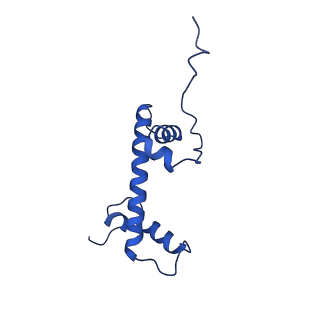 40616_8sn8_C_v1-1
Cryo-EM structure of the human nucleosome core particle in complex with RNF168 and UbcH5c~Ub (UbcH5c chemically conjugated to histone H2A) (class 6)