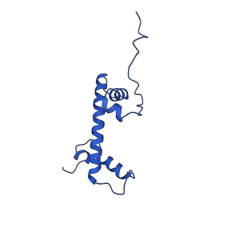 40616_8sn8_C_v1-2
Cryo-EM structure of the human nucleosome core particle in complex with RNF168 and UbcH5c~Ub (UbcH5c chemically conjugated to histone H2A) (class 6)