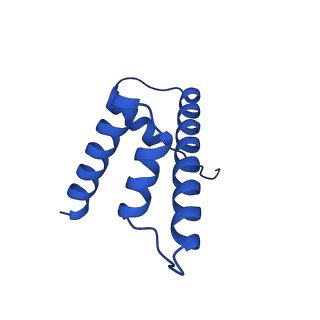 40616_8sn8_D_v1-2
Cryo-EM structure of the human nucleosome core particle in complex with RNF168 and UbcH5c~Ub (UbcH5c chemically conjugated to histone H2A) (class 6)