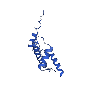 40616_8sn8_E_v1-2
Cryo-EM structure of the human nucleosome core particle in complex with RNF168 and UbcH5c~Ub (UbcH5c chemically conjugated to histone H2A) (class 6)