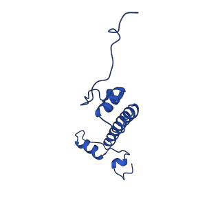 40616_8sn8_G_v1-2
Cryo-EM structure of the human nucleosome core particle in complex with RNF168 and UbcH5c~Ub (UbcH5c chemically conjugated to histone H2A) (class 6)