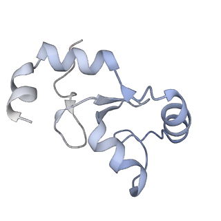 40616_8sn8_K_v1-2
Cryo-EM structure of the human nucleosome core particle in complex with RNF168 and UbcH5c~Ub (UbcH5c chemically conjugated to histone H2A) (class 6)