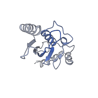 40616_8sn8_L_v1-1
Cryo-EM structure of the human nucleosome core particle in complex with RNF168 and UbcH5c~Ub (UbcH5c chemically conjugated to histone H2A) (class 6)