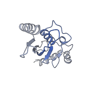 40616_8sn8_L_v1-2
Cryo-EM structure of the human nucleosome core particle in complex with RNF168 and UbcH5c~Ub (UbcH5c chemically conjugated to histone H2A) (class 6)