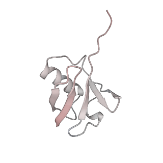 40616_8sn8_M_v1-2
Cryo-EM structure of the human nucleosome core particle in complex with RNF168 and UbcH5c~Ub (UbcH5c chemically conjugated to histone H2A) (class 6)