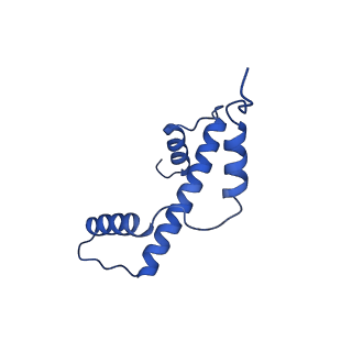 40617_8sn9_A_v1-1
Cryo-EM structure of the human nucleosome core particle in complex with RNF168 and UbcH5c with backside ubiquitin (UbcH5c chemically conjugated to histone H2A) (class 1)