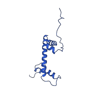 40617_8sn9_C_v1-1
Cryo-EM structure of the human nucleosome core particle in complex with RNF168 and UbcH5c with backside ubiquitin (UbcH5c chemically conjugated to histone H2A) (class 1)