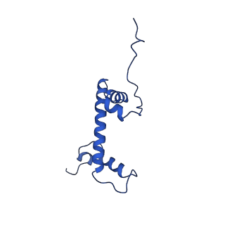 40617_8sn9_C_v1-2
Cryo-EM structure of the human nucleosome core particle in complex with RNF168 and UbcH5c with backside ubiquitin (UbcH5c chemically conjugated to histone H2A) (class 1)