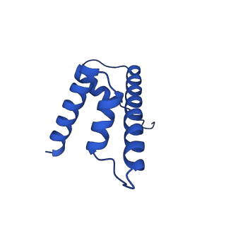 40617_8sn9_D_v1-2
Cryo-EM structure of the human nucleosome core particle in complex with RNF168 and UbcH5c with backside ubiquitin (UbcH5c chemically conjugated to histone H2A) (class 1)