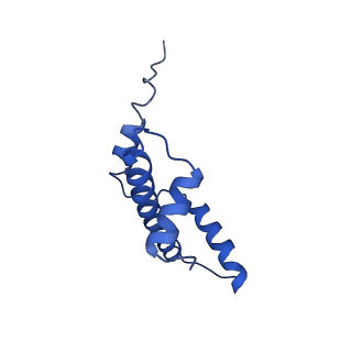 40617_8sn9_E_v1-1
Cryo-EM structure of the human nucleosome core particle in complex with RNF168 and UbcH5c with backside ubiquitin (UbcH5c chemically conjugated to histone H2A) (class 1)