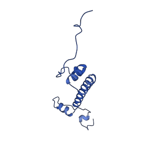 40617_8sn9_G_v1-1
Cryo-EM structure of the human nucleosome core particle in complex with RNF168 and UbcH5c with backside ubiquitin (UbcH5c chemically conjugated to histone H2A) (class 1)