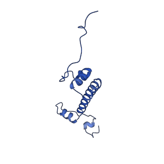 40617_8sn9_G_v1-2
Cryo-EM structure of the human nucleosome core particle in complex with RNF168 and UbcH5c with backside ubiquitin (UbcH5c chemically conjugated to histone H2A) (class 1)