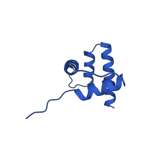 40617_8sn9_H_v1-2
Cryo-EM structure of the human nucleosome core particle in complex with RNF168 and UbcH5c with backside ubiquitin (UbcH5c chemically conjugated to histone H2A) (class 1)